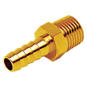 Brass Hosetail